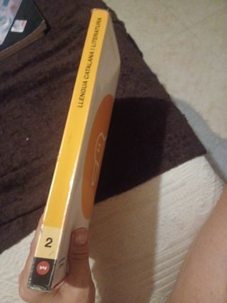 LLENGUA CATALANA I LITERATURA 2