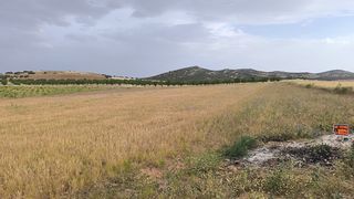Finca rústica Consuegra (Toledo)