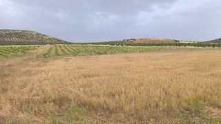Finca rústica Consuegra (Toledo)