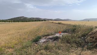 Finca rústica Consuegra (Toledo)