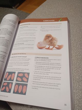 Biología y Geología 1 ESO