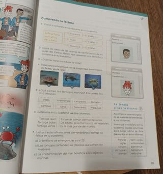 Lengua 4 primaria (3 trimestres)