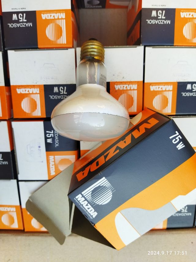 24 Lámparas Mazda 75W