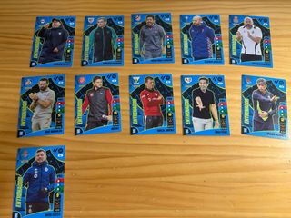Cromos especiales/entrenadores Adrenalyn 24-25