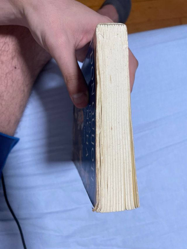 DON QUIJOTE DE LA MANCHA (adaptación para estud...