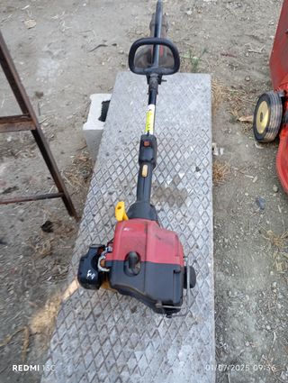Cortacésped Homelite: cortafilos