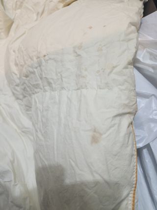 Edredón Nido plumón 90 - Beige