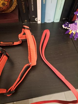 Pettorina NO LIMIT rossa per cani 4-5kg