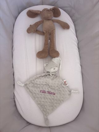 Mosè bambino - Culla Mosè