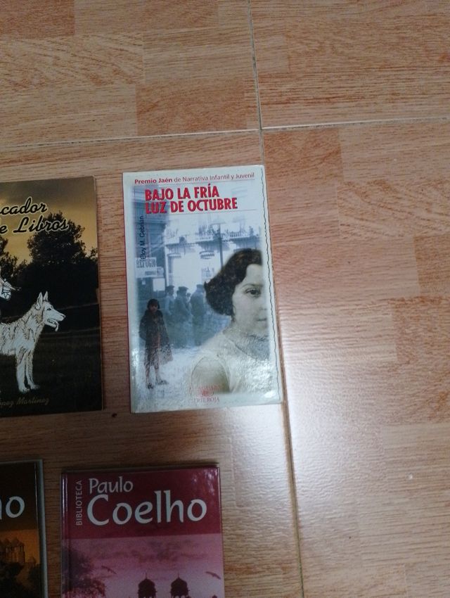 Libros usados: Coelho, Bajo la fría luz...