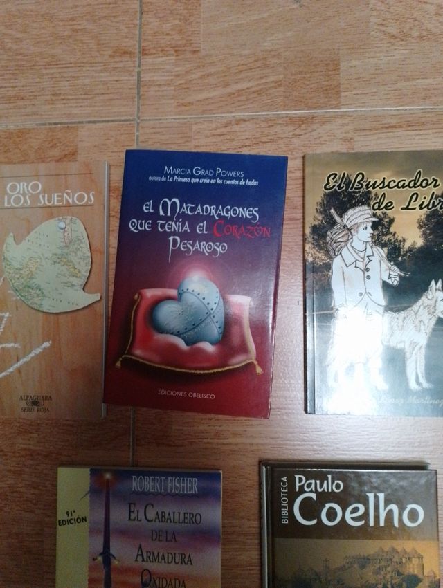 Libros usados: Coelho, Bajo la fría luz...