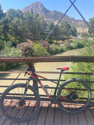 Bicicleta montaña carbono Specialized