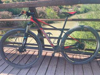 Bicicleta montaña carbono Specialized