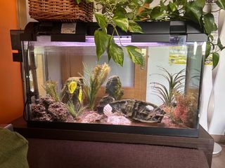 Acuario 100L de agua caliente. buenas condiciones
