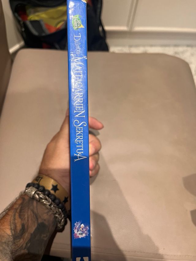 Dilintxo. Maitagarrien sekretua