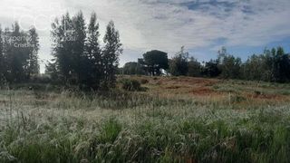Terreno en venta en Almonte en Almonte