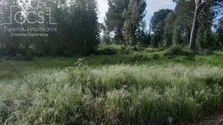 Terreno en venta en Almonte en Almonte