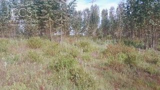 Terreno en venta en Almonte en Almonte
