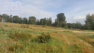 Terreno en venta en Almonte en Almonte