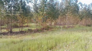 Terreno en venta en Almonte en Almonte