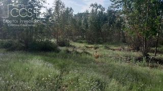 Terreno en venta en Almonte en Almonte