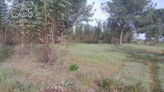 Terreno en venta en Almonte en Almonte