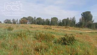 Terreno en venta en Almonte en Almonte