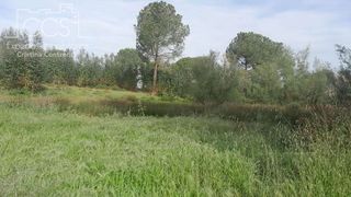 Terreno en venta en Almonte en Almonte