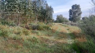 Terreno en venta en Almonte en Almonte