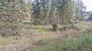 Terreno en venta en Almonte en Almonte