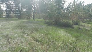 Terreno en venta en Almonte en Almonte