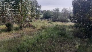 Terreno en venta en Almonte en Almonte