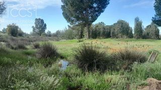 Terreno en venta en Almonte en Almonte