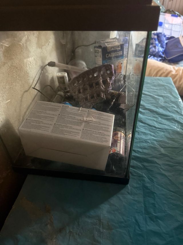 Pecera de cristal negra