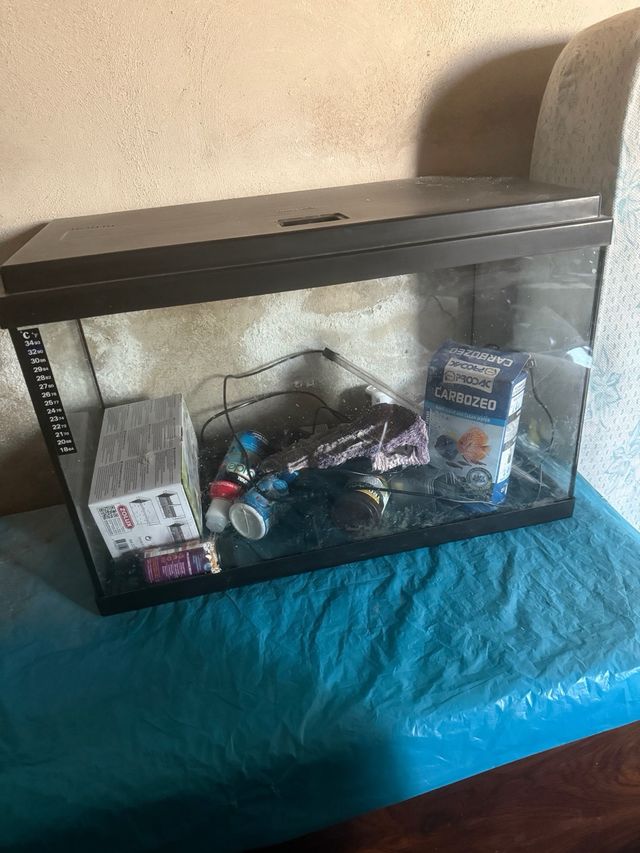 Pecera de cristal negra