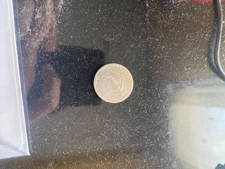 Moneda francesa 2 Francos 1979 y 1981