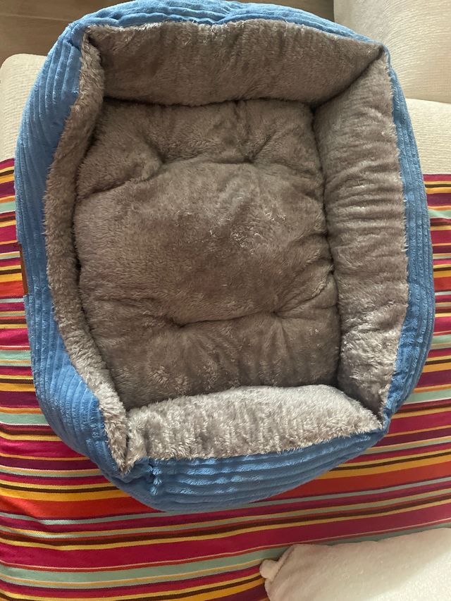 Cama perro azul - nueva