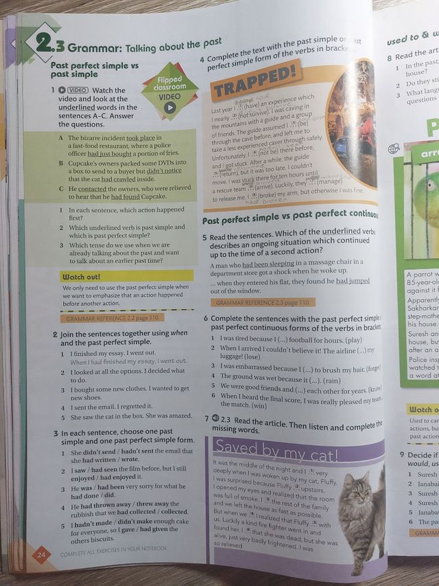 Reach Up 1 Student's Book. 