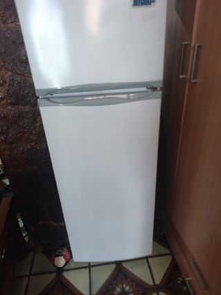 Nevera Gaz  butano  Taver