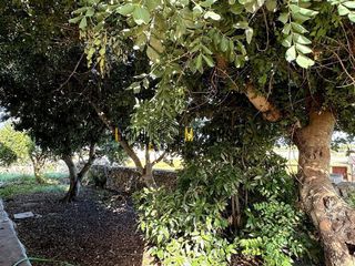 Chalet en venta en Ciutadella en Ciutadella de Menorca