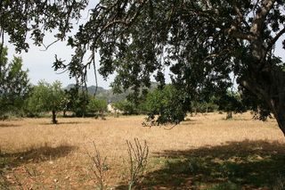 Solar en venta en Lloseta