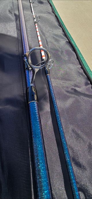 Cañas pescar Daiwa Masterise Tournament 2