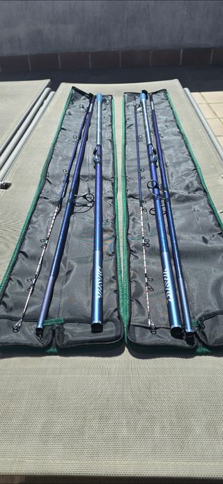 Cañas pescar Daiwa Masterise Tournament 2