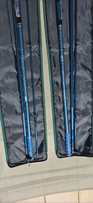 Cañas pescar Daiwa Masterise Tournament 2