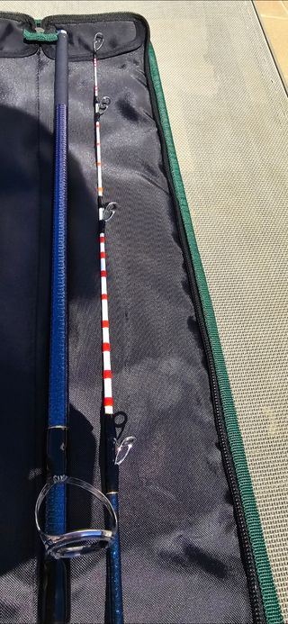 Cañas pescar Daiwa Masterise Tournament 2