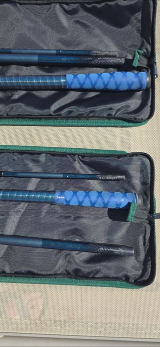 Cañas pescar Daiwa Masterise Tournament 2