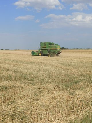 John Deere 1166 Cosechadora