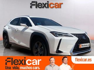 Lexus UX 2.0 250h Business