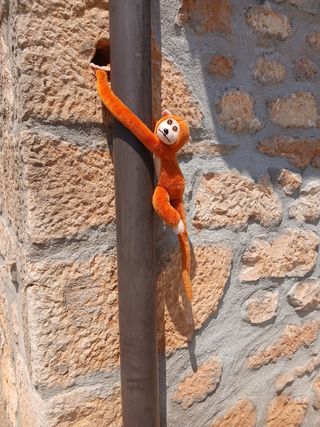 Peluche mono adorable
