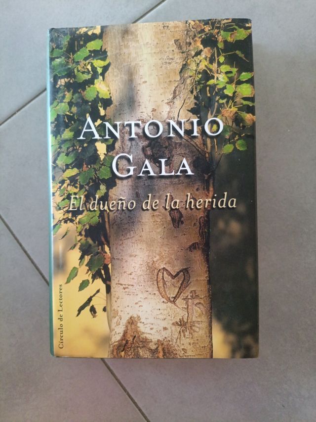 El dueño de la herida